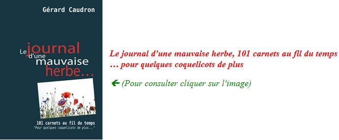 journalmauvaiseherbe