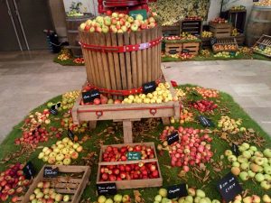 22554753_158309714768374_1460524517142819614_n